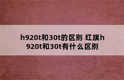 h920t和30t的区别 红旗h920t和30t有什么区别